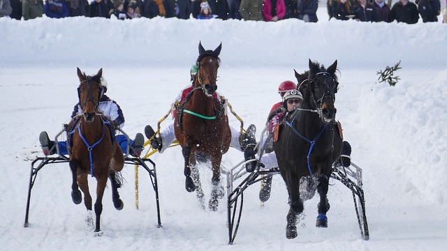 虽然球队的 虽然球队的