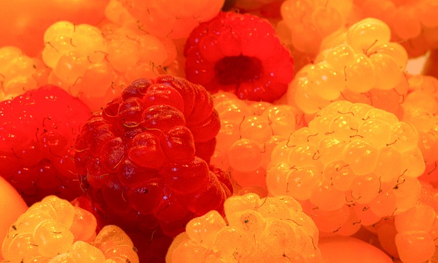 他们可以有 他们可以有