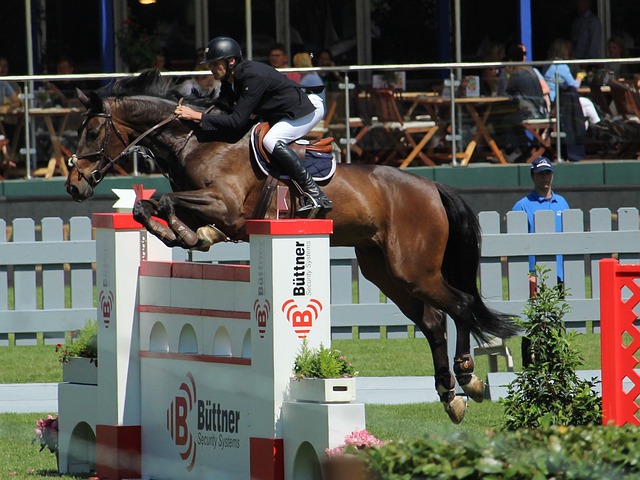 型边路球员 型边路球员