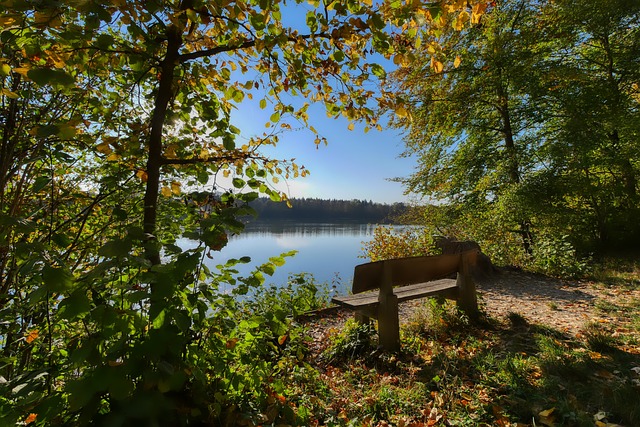 若你對籃球 若你對籃球