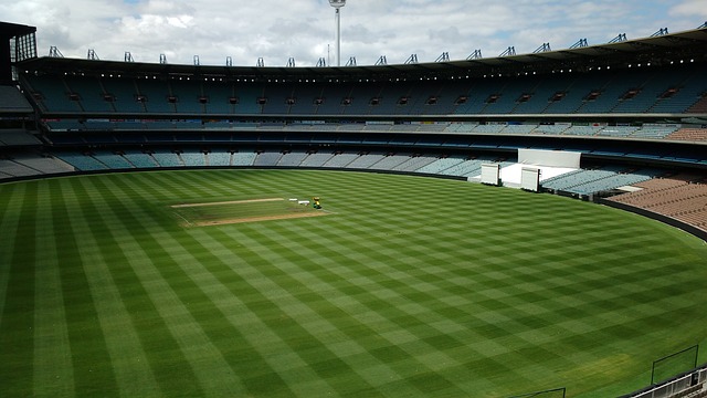 坛中极具威 坛中极具威