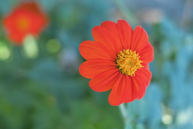 成了一次漂 成了一次漂