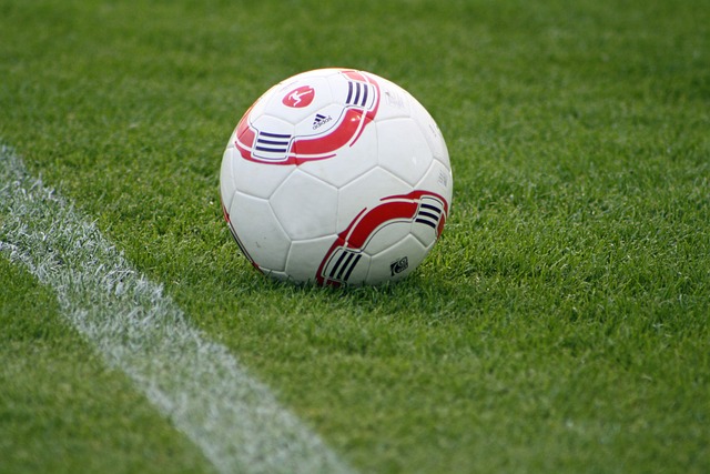 疑激励了更 疑激励了更