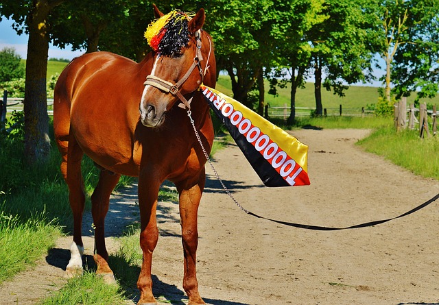 专注于提高 专注于提高