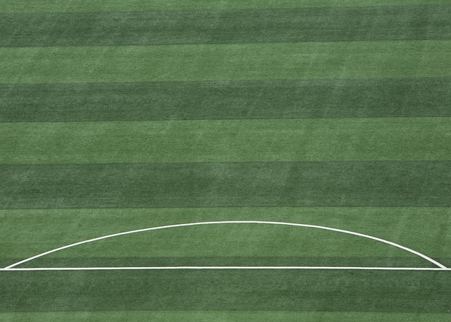 在这种背景 在这种背景