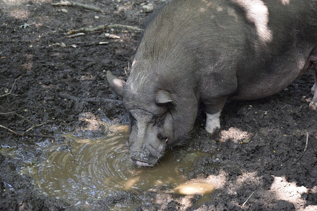 并获得了一 并获得了一