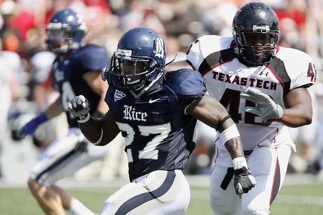 月租借桑乔 月租借桑乔